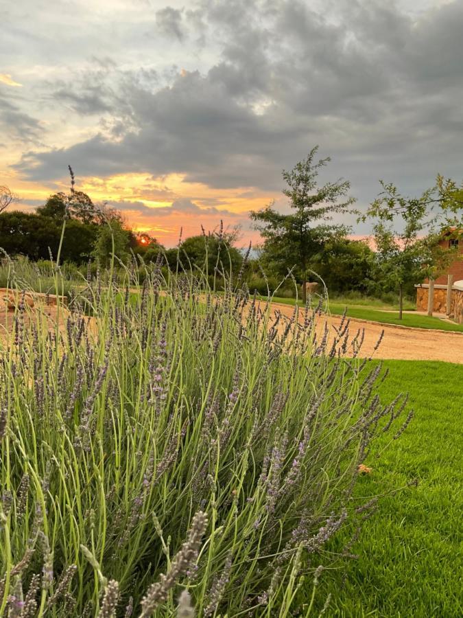 Mount High Luxury Stables Villa Lydenburg Exterior photo